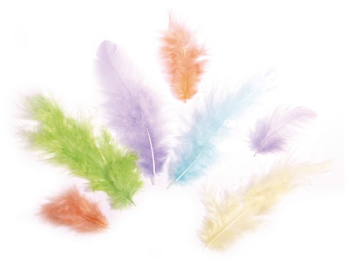 Decorative feathers Rayher