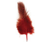 Decorative feathers Rayher Deco 6cm 2g black/red