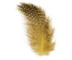 Decorative feathers Rayher Deco 6cm 2g black/yellow