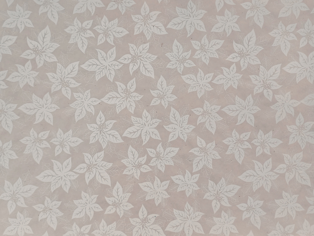 Nepālas papīrs 51x76cm Lalupate White on White