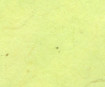 Lokta Paper 51x76cm 24 Lemon Green