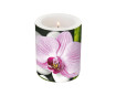 Candle d=10.5cm h=12cm Exotic Blossom