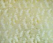 Nepalietiškas popierius 51x76cm Twigs White/Gold on Natural