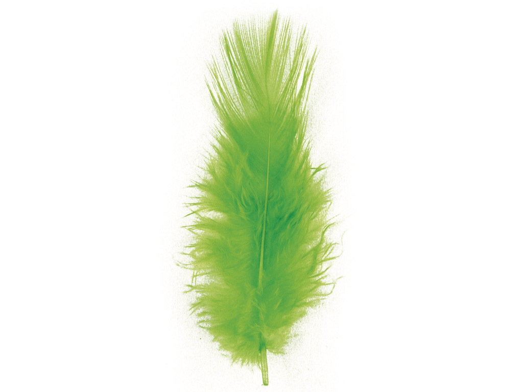 Dekoratyvinė plunksna Rayher Trendy 10-15cm 2g šviesiai žalia