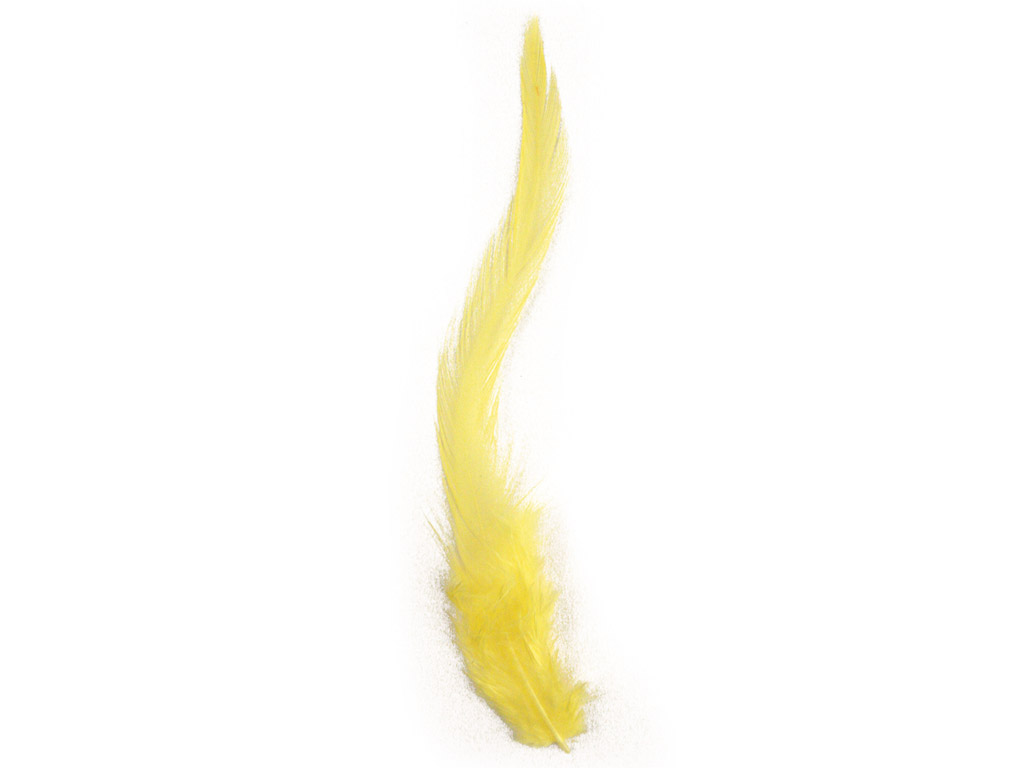 Dekoratyvinė plunksna Rayher Trendy 10-15cm 2g geltona