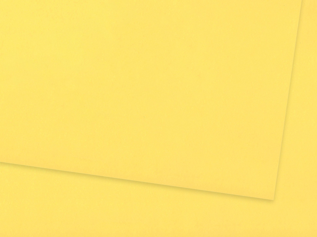 Photo album cardboard Ursus A4/300g 12 lemon yellow