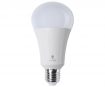 Lamp LED (päevavalgus) Daylight 15W E27