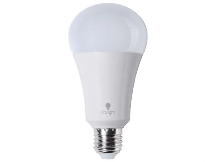 Lamp LED Daylight (päevavalgus) E27