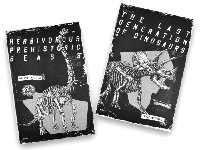 Užrašų knygelė M&G Prehistoric Memory lapų kietais viršeliais
