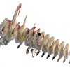 3D mudel Eugy velociraptor - 5/6